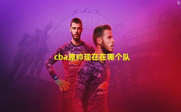 cba原帅现在在哪个队