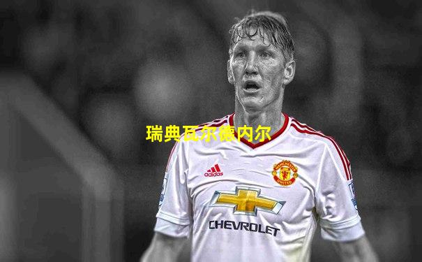 瑞典瓦尔德内尔