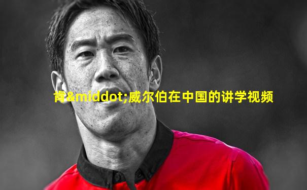 肯·威尔伯在中国的讲学视频