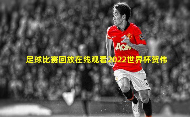 足球比赛回放在线观看2022世界杯贺伟