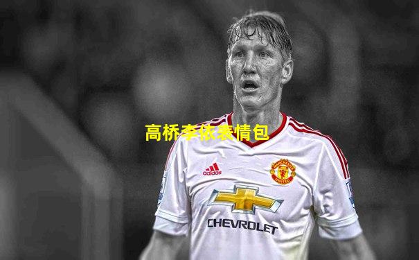 高桥李依表情包