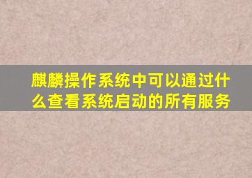 麒麟操作系统中可以通过什么查看系统启动的所有服务